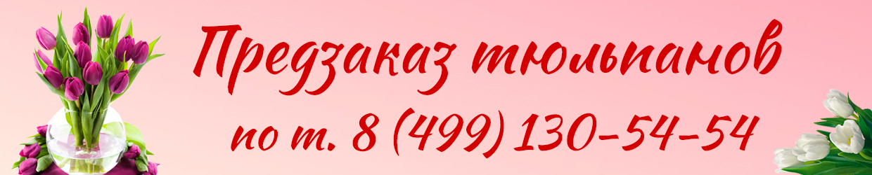 цветы,воздушные шары,открытки,товары для праздника,недорого,дешево,цветы в Москве,доставка цветов,доставка цветов в Москве