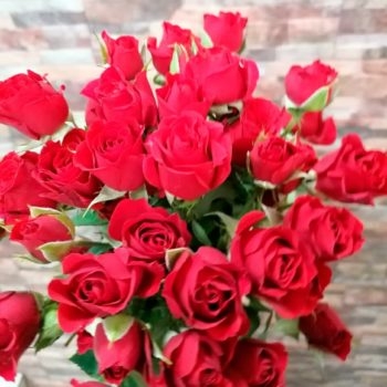 Кустовые розы - Склад-Цветы.рф