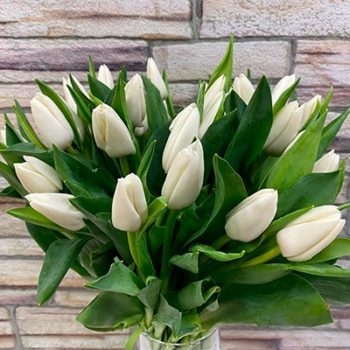 Тюльпаны в магазине Склад-Цветы.рф